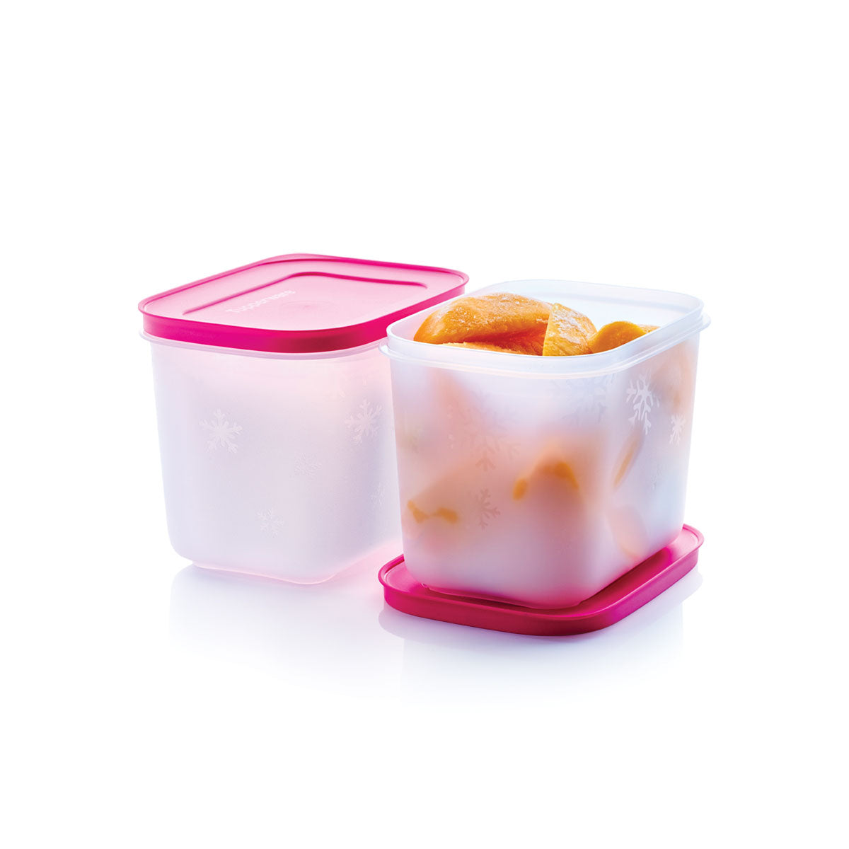 Tupperware Alaska Kap Yüksek 2li Set 1.1L