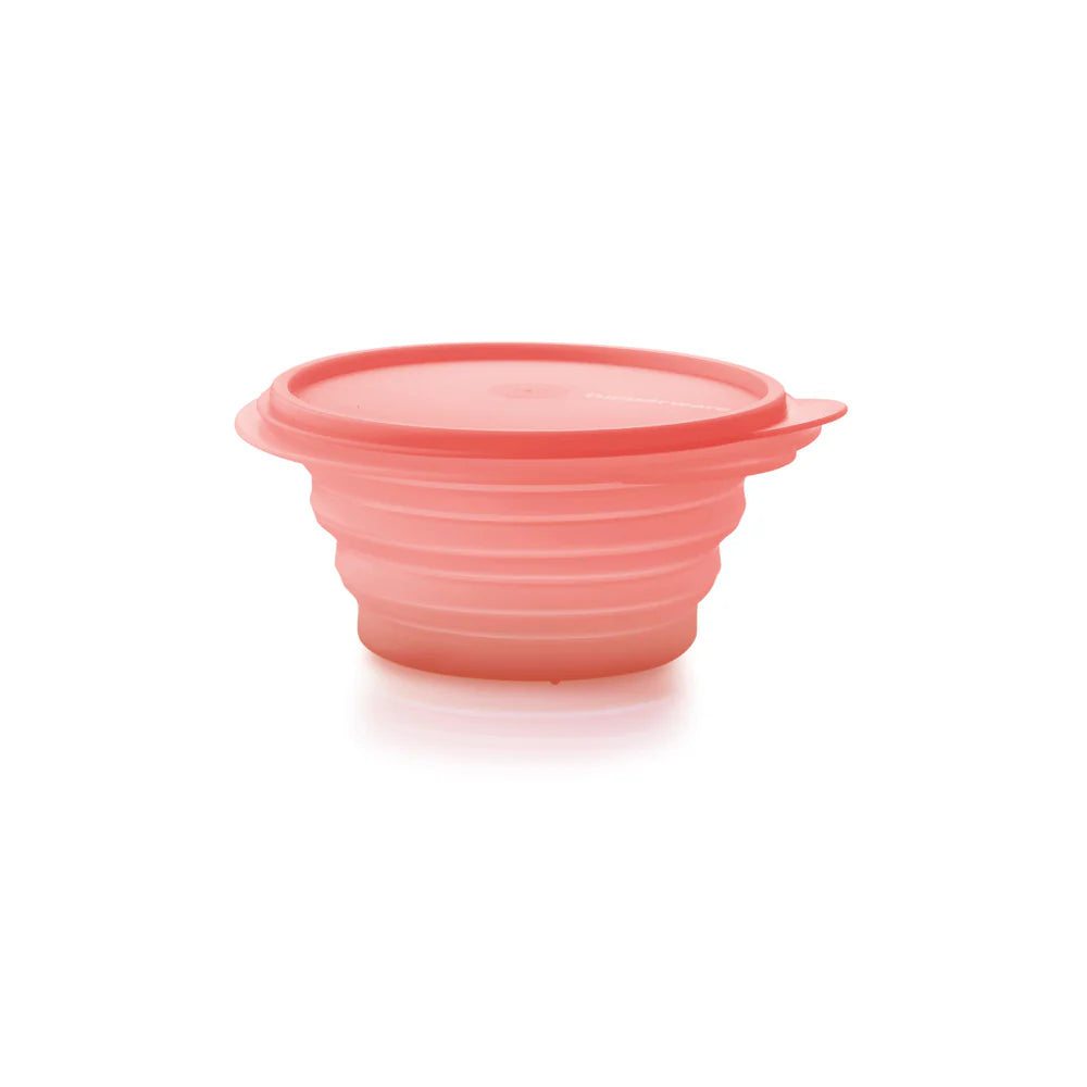 Tupperware MinMax 700ml Guava