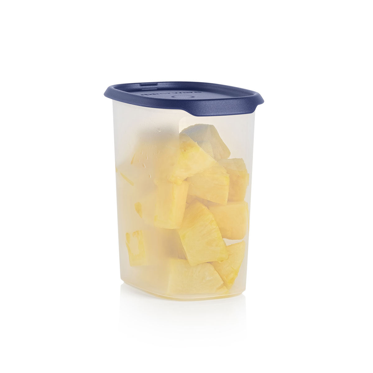 Tupperware Tek Dokunuş Gıda Saklama 1.8L Gece Mavisi